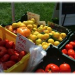 PFM Chickadee Creek Jersey Tomatoes